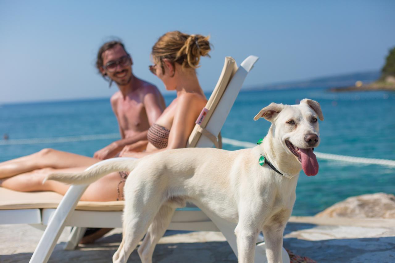 Valamar Camping Jezevac كرك المظهر الخارجي الصورة